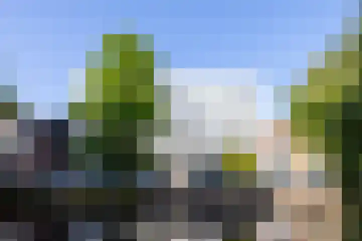 Noordsingel 185 C Rotterdam thumbnail 5