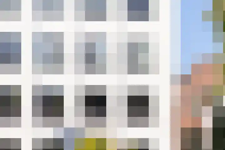Noordsingel 185 C Rotterdam thumbnail 50