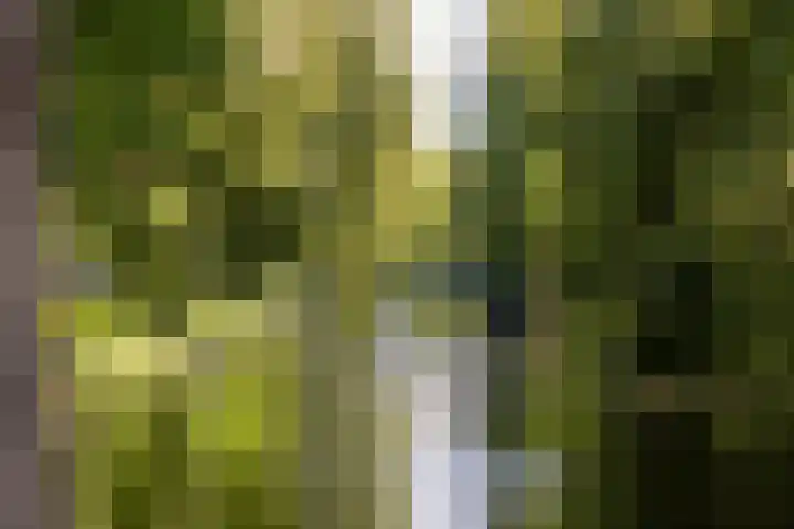 Noordsingel 185 C Rotterdam thumbnail 51