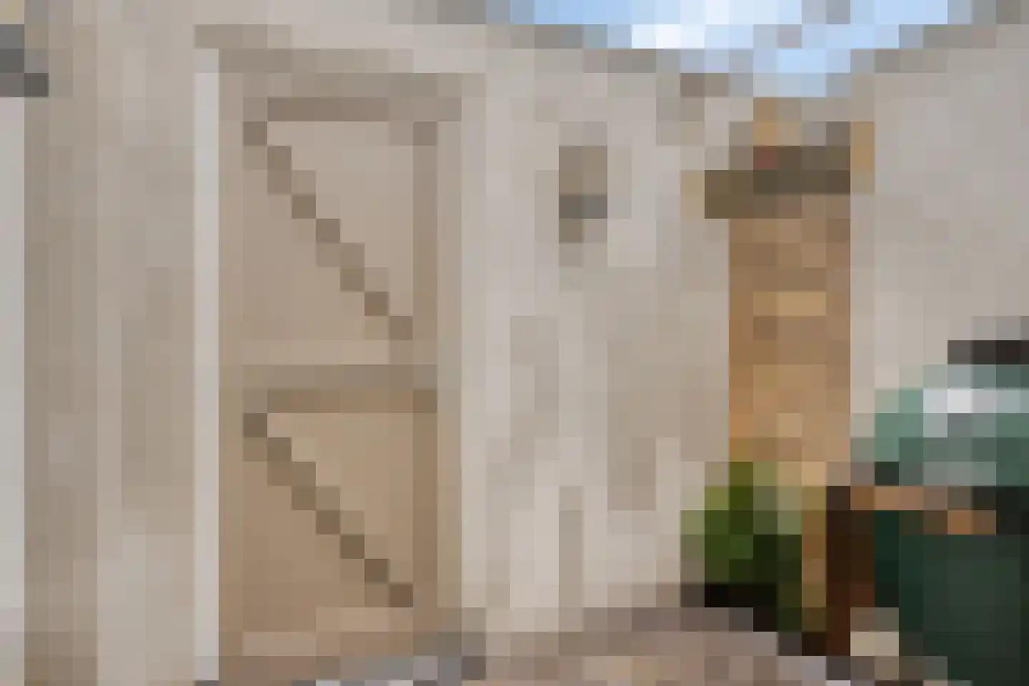 Noordsingel 186 Bergen op Zoom thumbnail 36