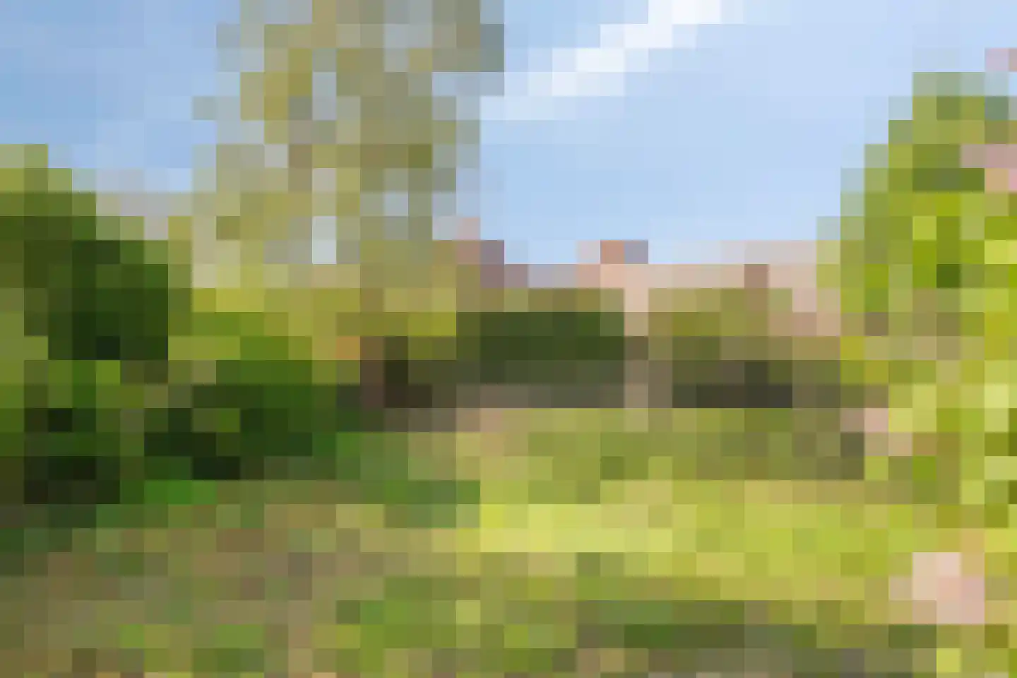 Noordsingel 206 Bergen op Zoom thumbnail 36
