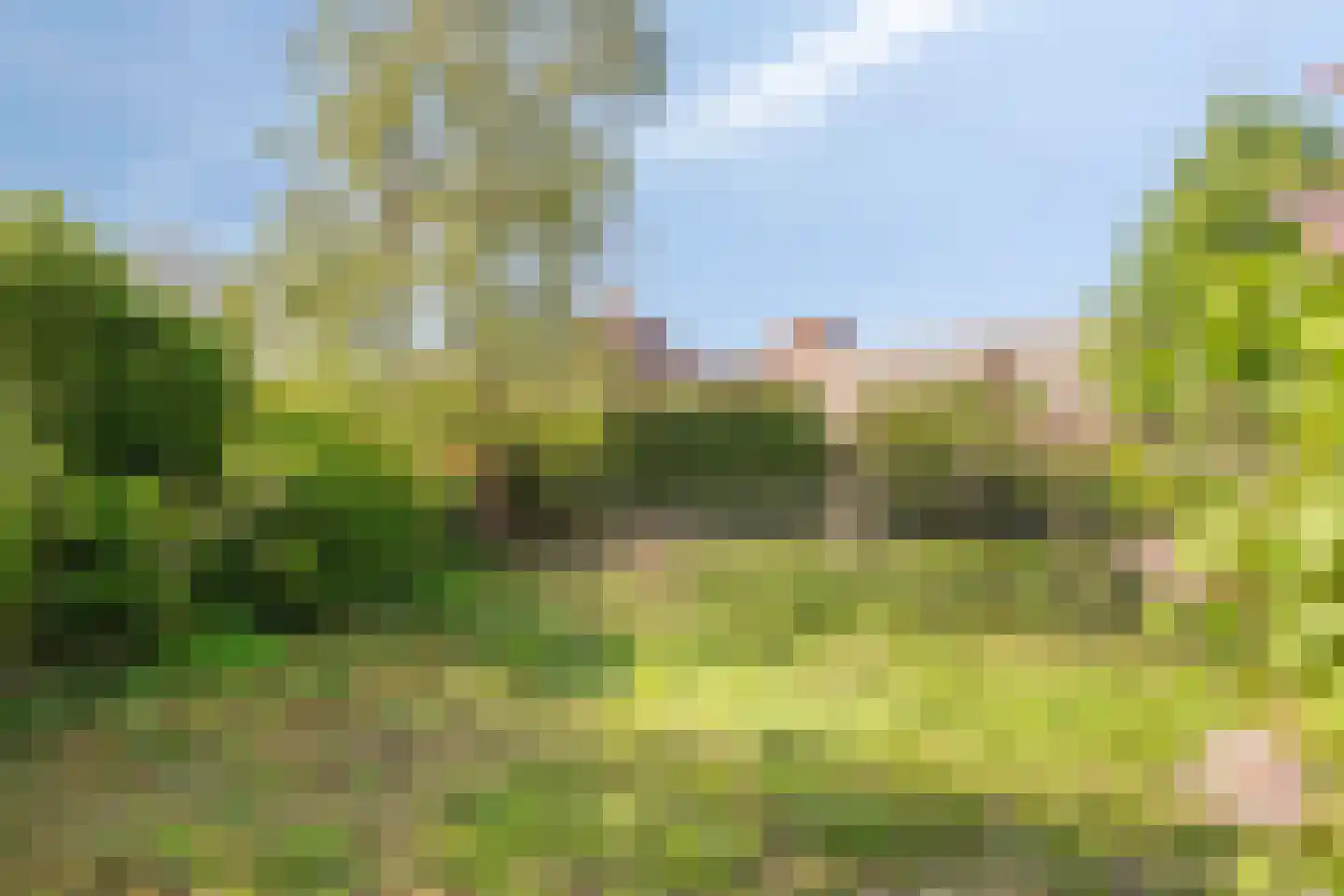 Noordsingel 206 Bergen op Zoom thumbnail 36