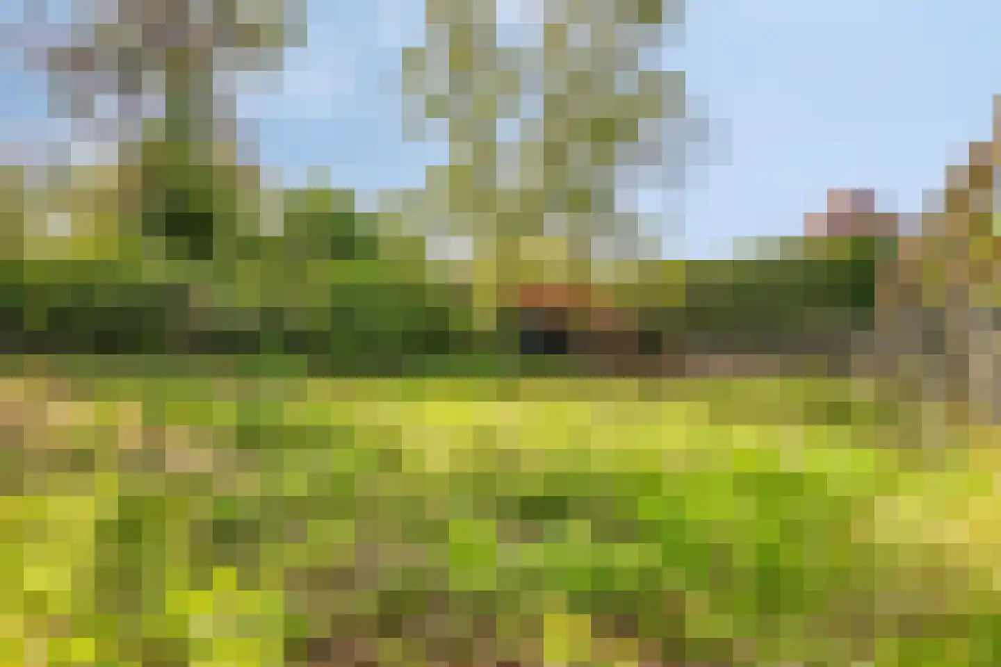 Noordsingel 206 Bergen op Zoom thumbnail 37