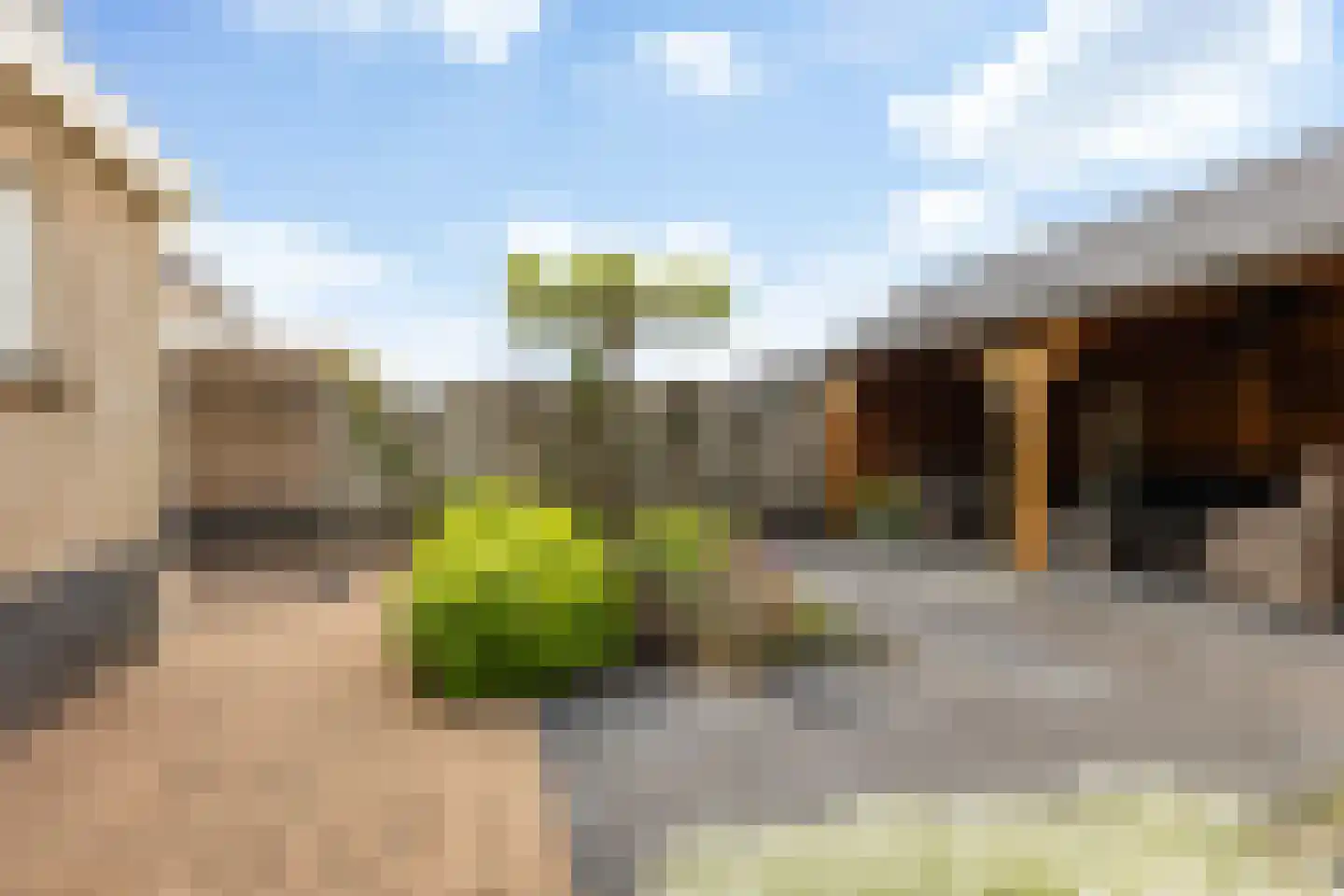 Noordsingel 230 Wezep thumbnail 44