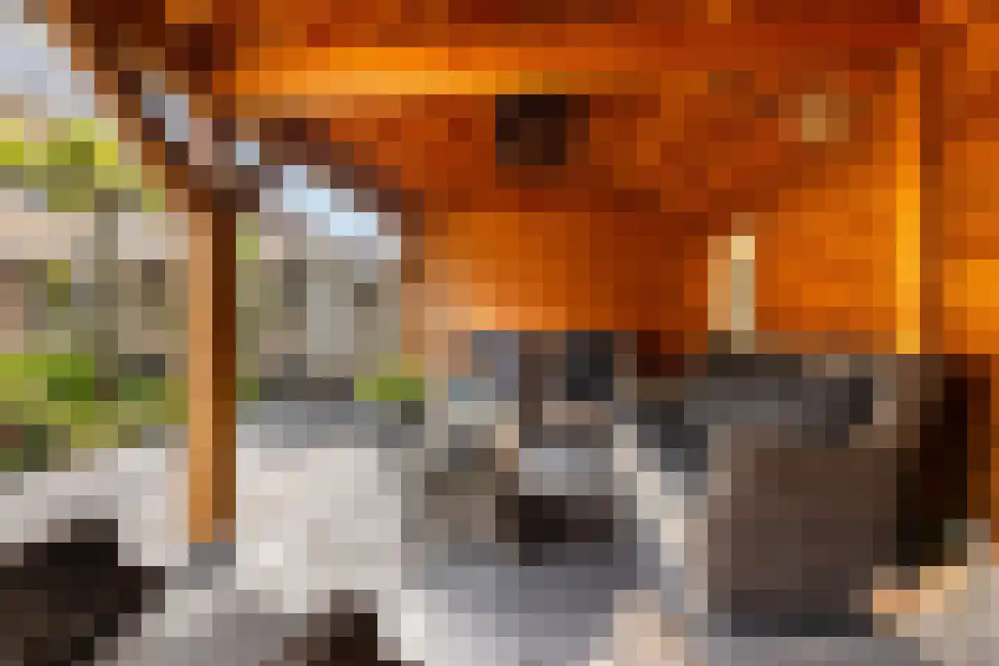 Noordsingel 230 Wezep thumbnail 46