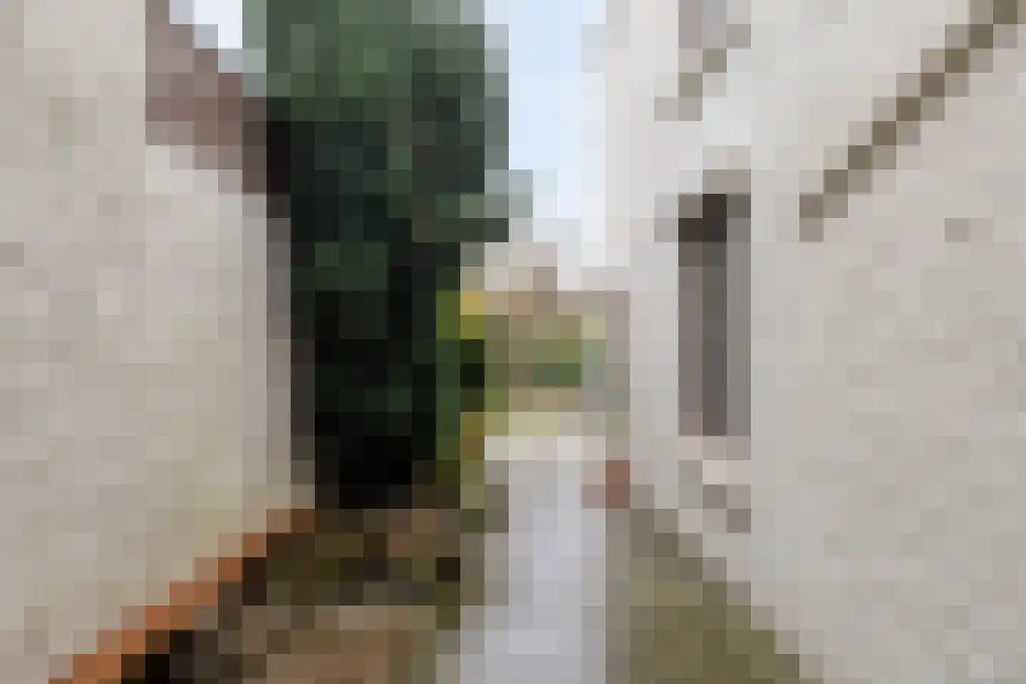 Noordsingel 232 Bergen op Zoom thumbnail 27