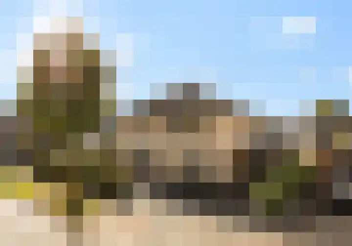 Noordsingel 242 in Wezep