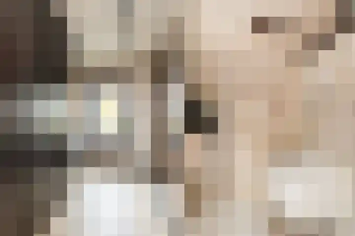 Noordsingel 242 Wezep thumbnail 12