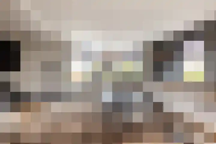 Noordsingel 242 Wezep thumbnail 15