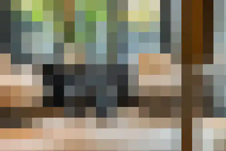 Noordsingel 242 Wezep thumbnail 23