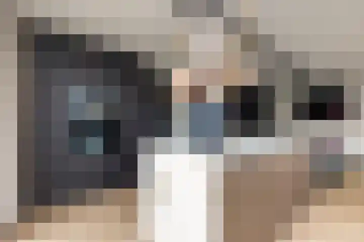 Noordsingel 242 Wezep thumbnail 28
