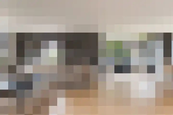 Noordsingel 242 Wezep foto 3