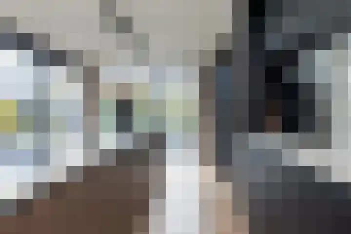 Noordsingel 242 Wezep thumbnail 30