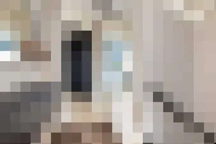 Noordsingel 242 Wezep thumbnail 34