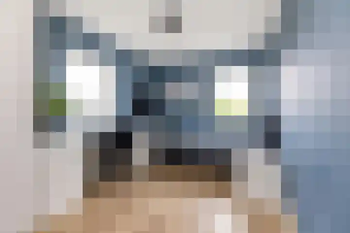 Noordsingel 242 Wezep thumbnail 40