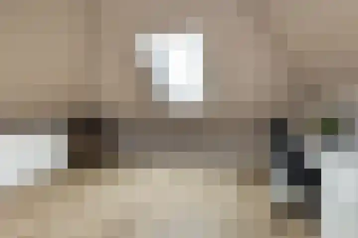 Noordsingel 242 Wezep thumbnail 45