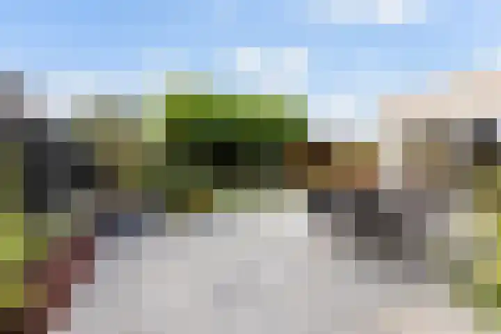 Noordsingel 242 Wezep thumbnail 5