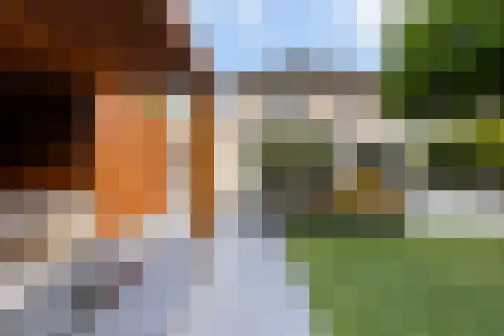 Noordsingel 242 Wezep thumbnail 54