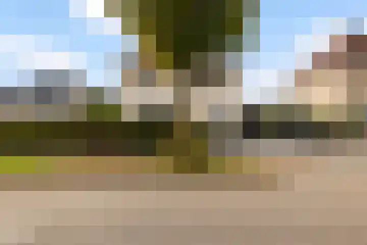 Noordsingel 242 Wezep thumbnail 57