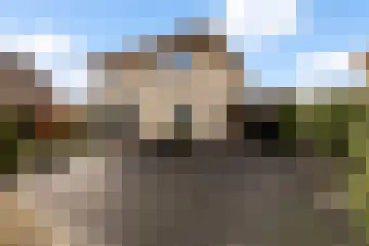 Noordsingel 242 Wezep thumbnail 6