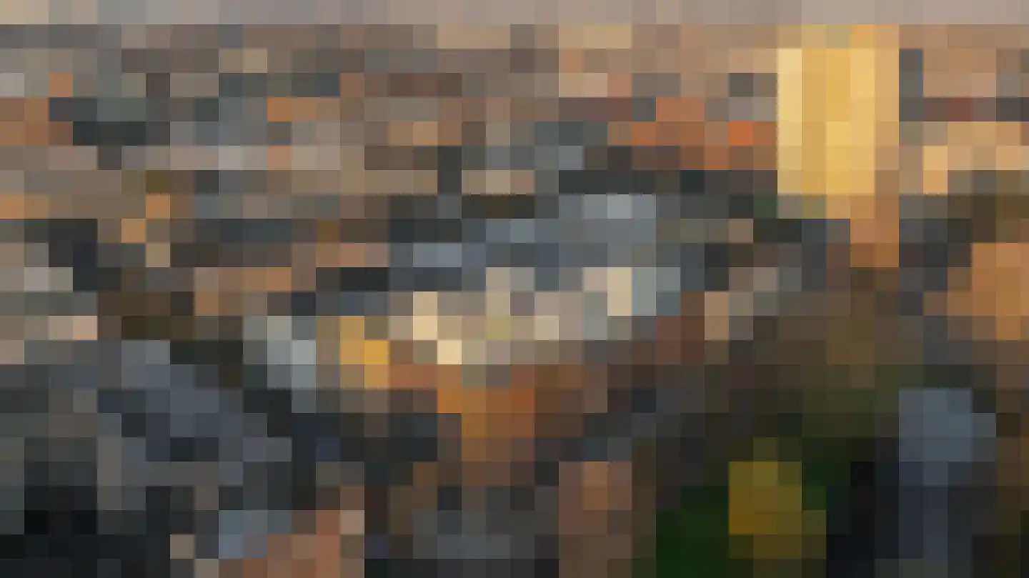 Noordsingel 254 B Rotterdam thumbnail 15