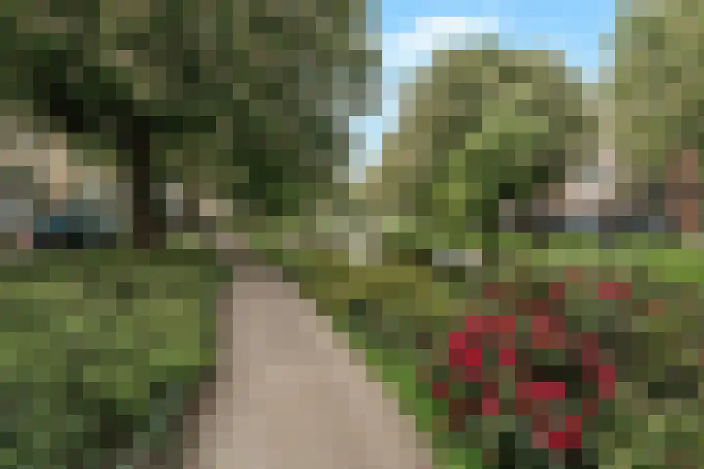Noordsingel 262 C Rotterdam thumbnail 13