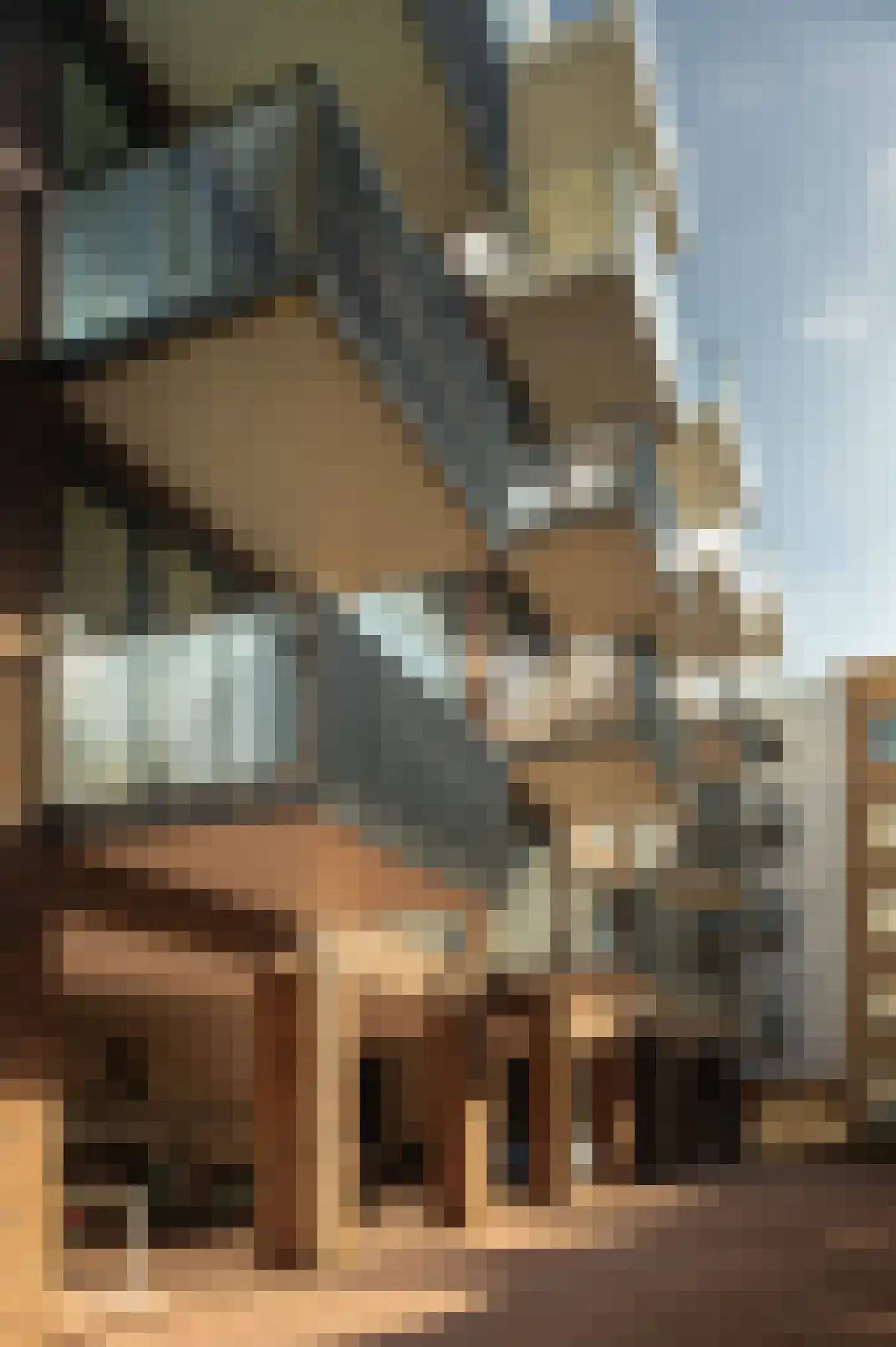 Noordsingel 264 B Rotterdam thumbnail 13