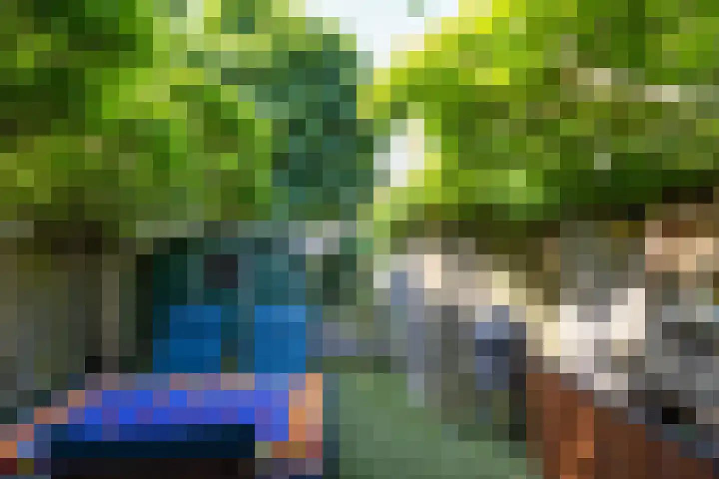 Noordsingel 27 B Rotterdam thumbnail 31