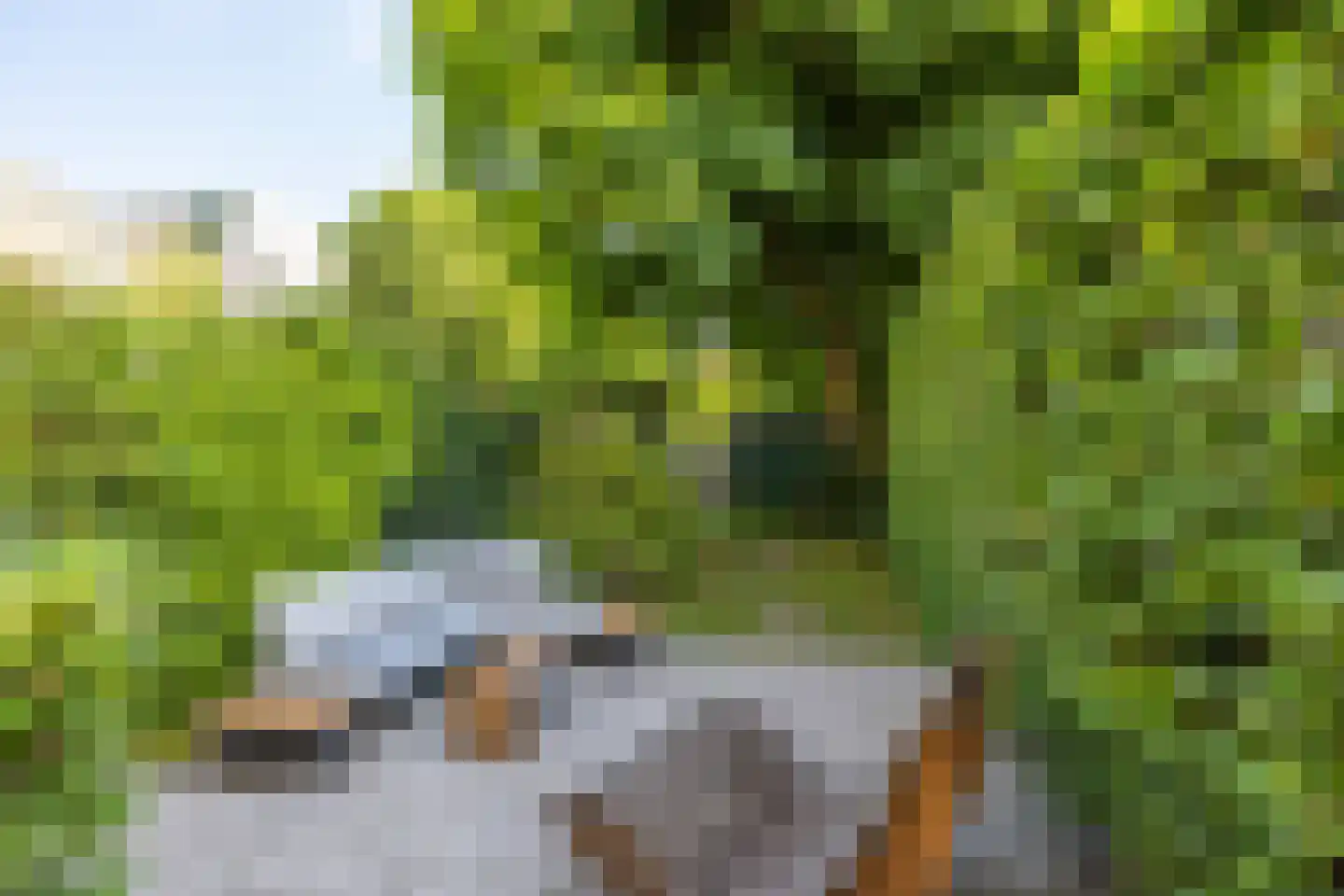 Noordsingel 27 B Rotterdam thumbnail 4