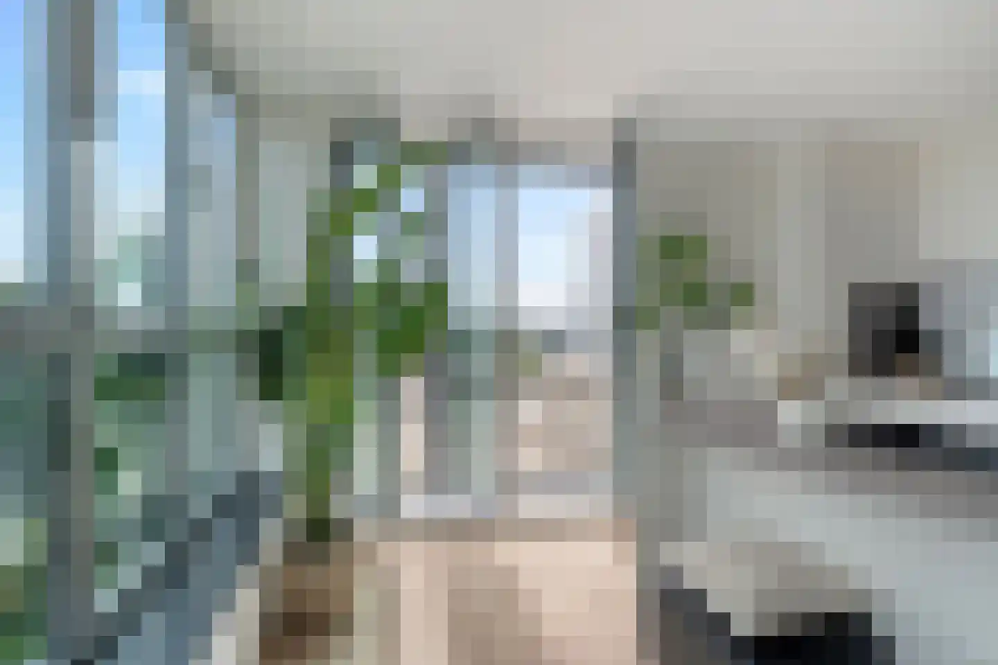 Noordsingel 276 A Rotterdam thumbnail 16