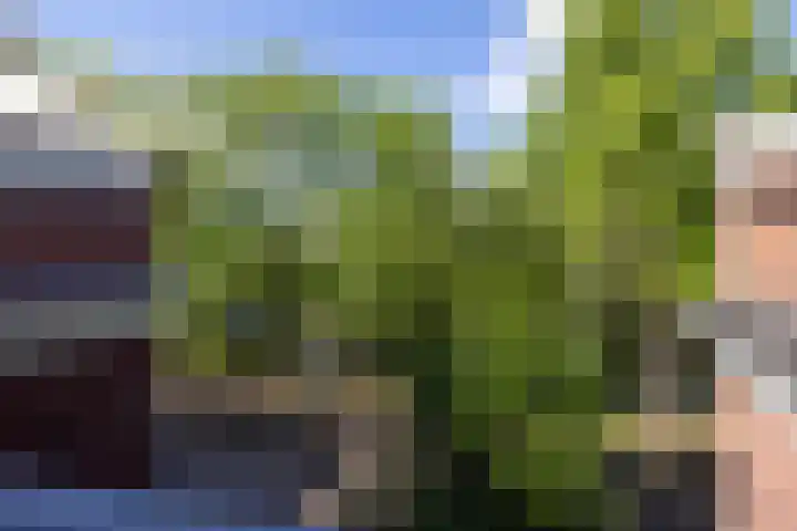 Noordsingel 28 A 01 Rotterdam thumbnail 26