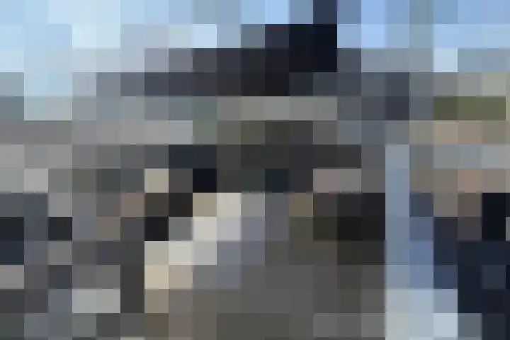 Noordsingel 28 A 01 Rotterdam thumbnail 27