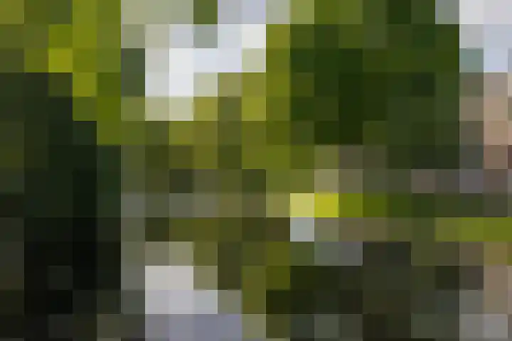 Noordsingel 28 A 01 Rotterdam thumbnail 4