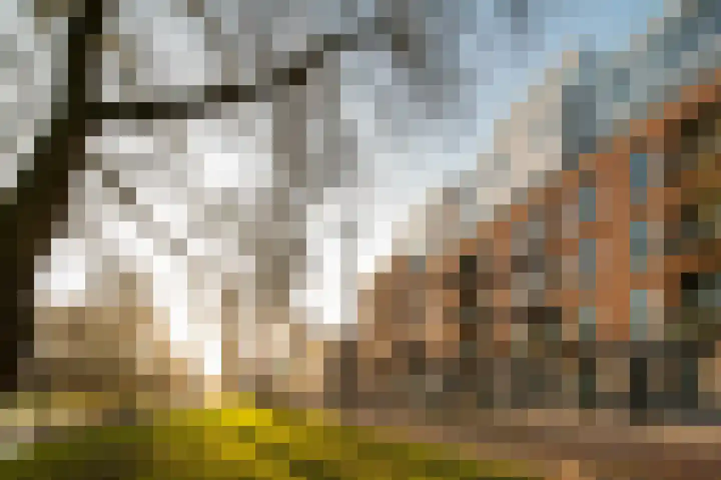 Noordsingel 280 Rotterdam