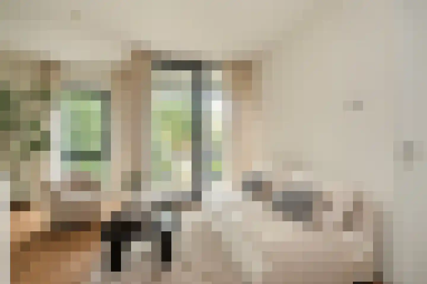 Noordsingel 280 Rotterdam thumbnail 4
