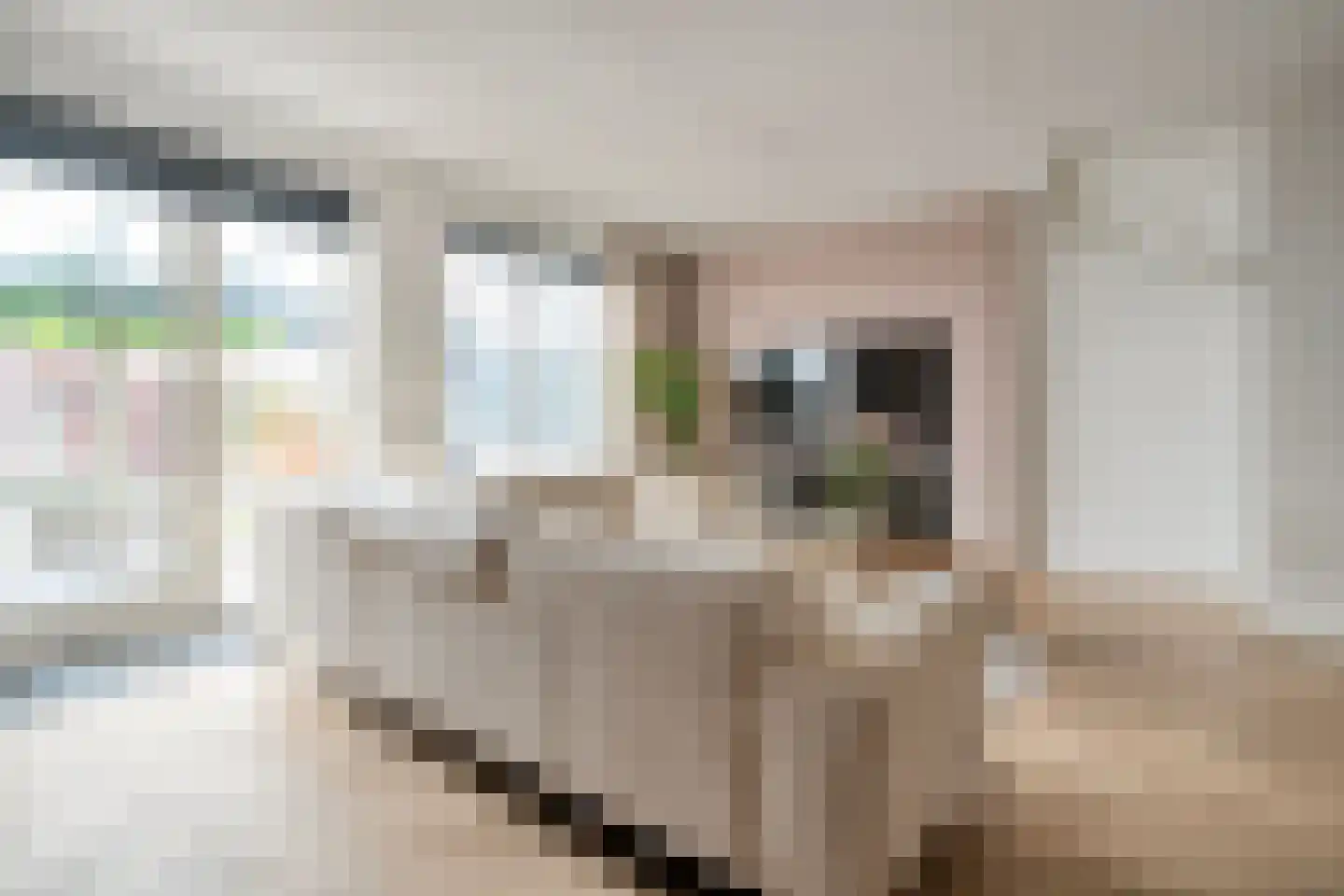 Noordsingel 29 Wezep thumbnail 12