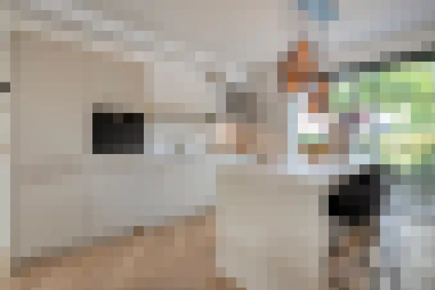 Noordsingel 29 Wezep thumbnail 18