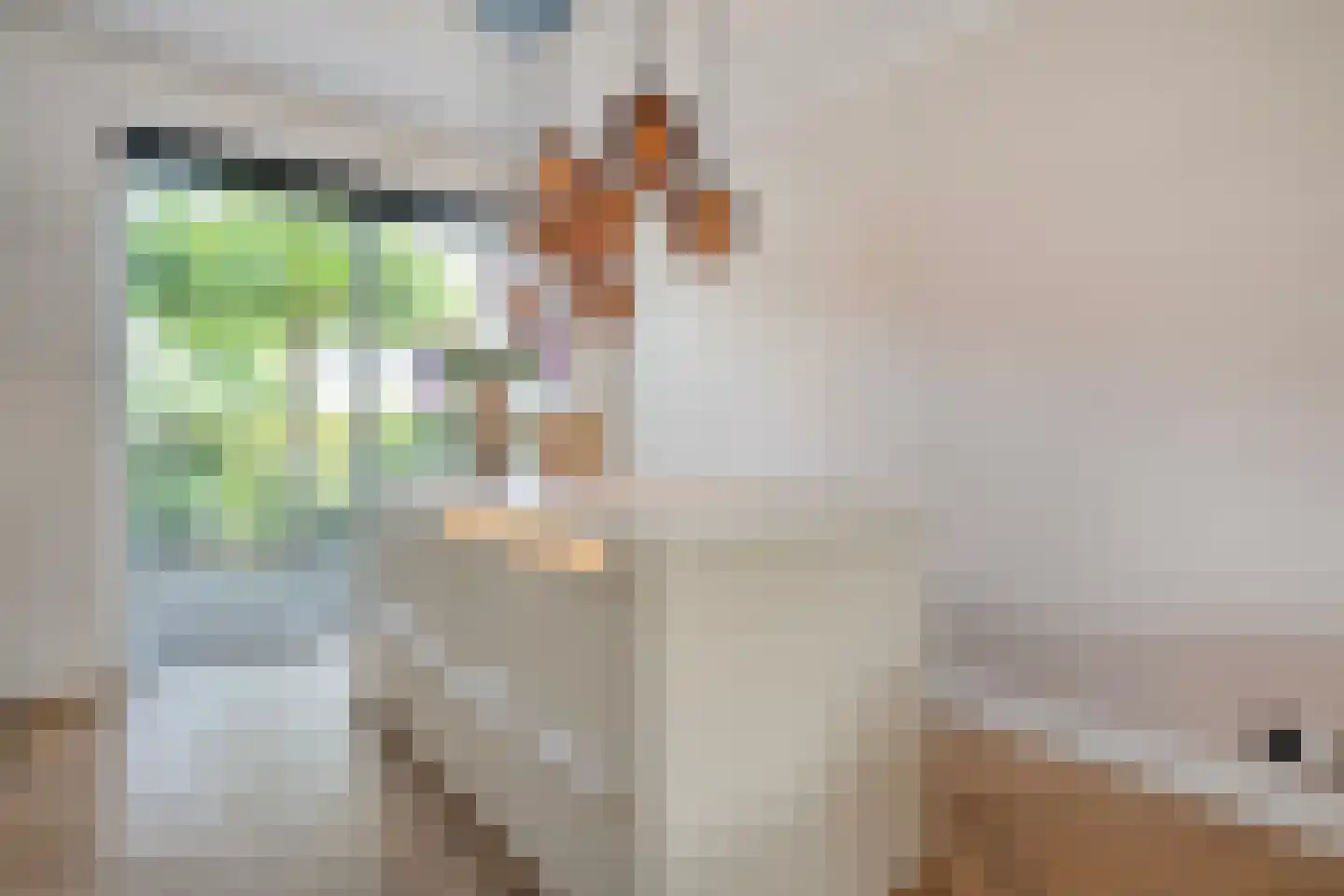 Noordsingel 29 Wezep thumbnail 19
