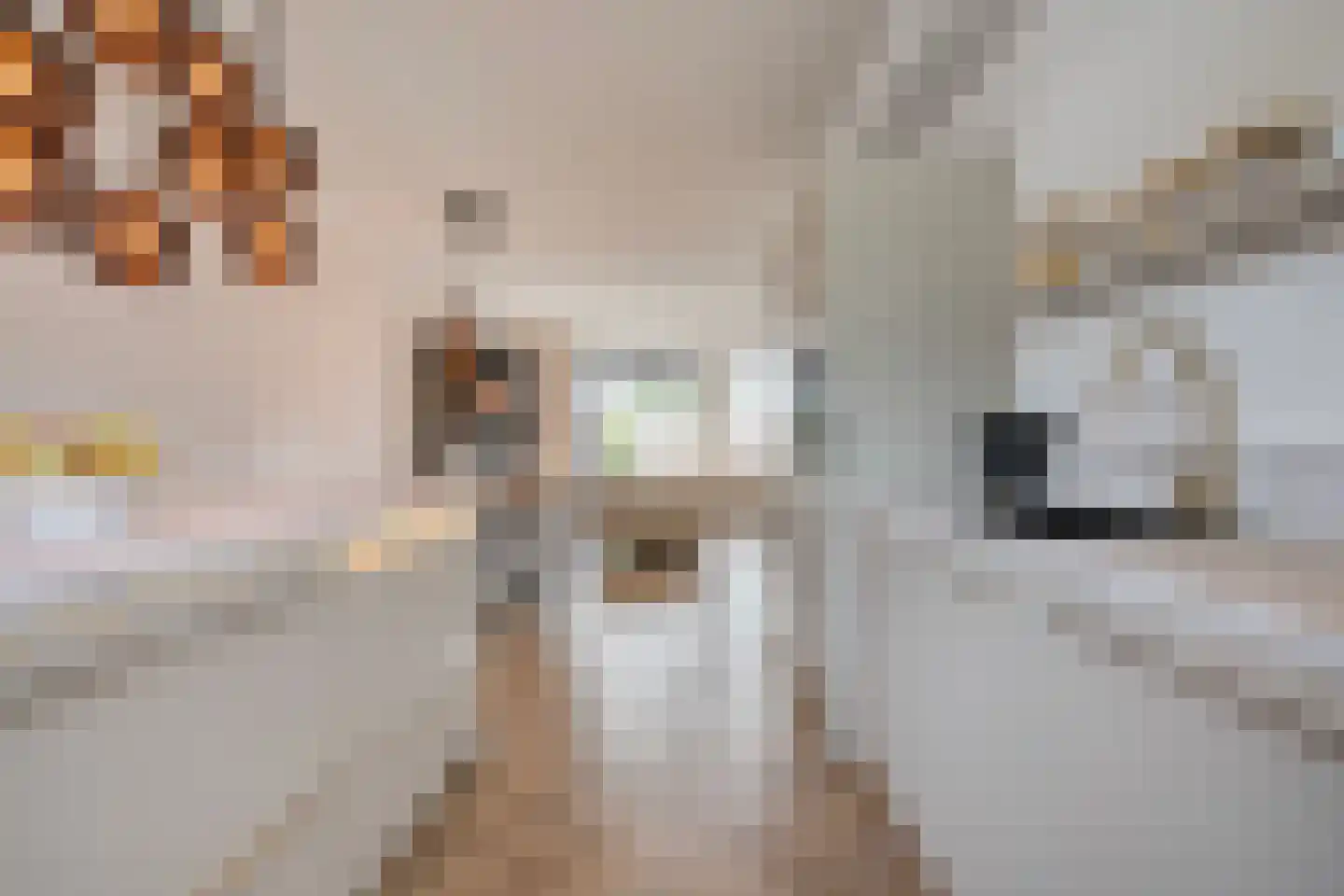 Noordsingel 29 Wezep thumbnail 22