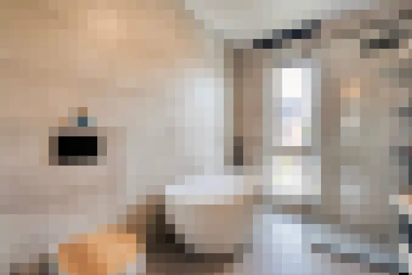 Noordsingel 29 Wezep thumbnail 32