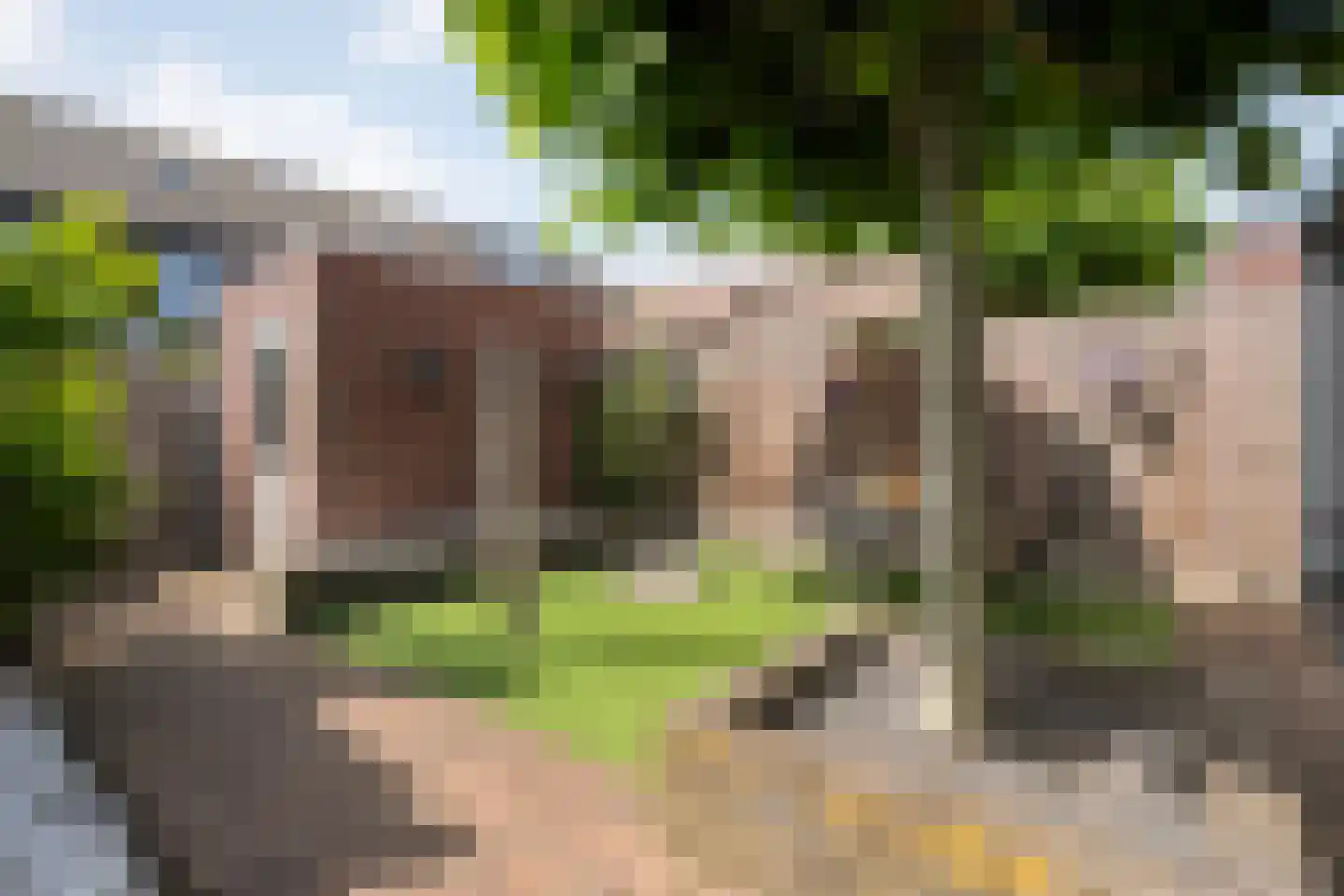 Noordsingel 29 Wezep thumbnail 45