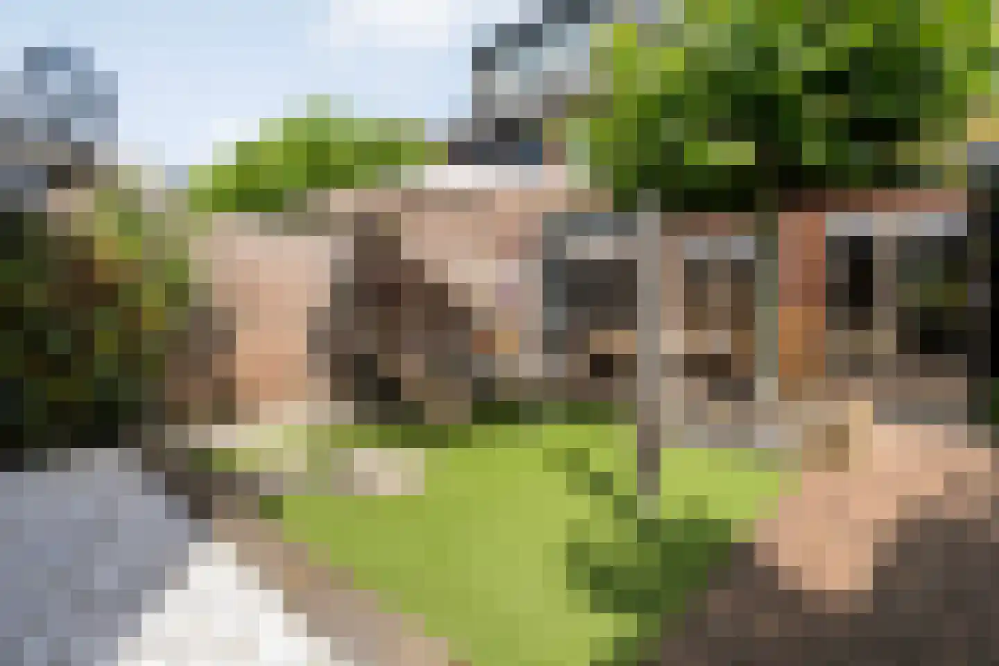 Noordsingel 29 Wezep thumbnail 47