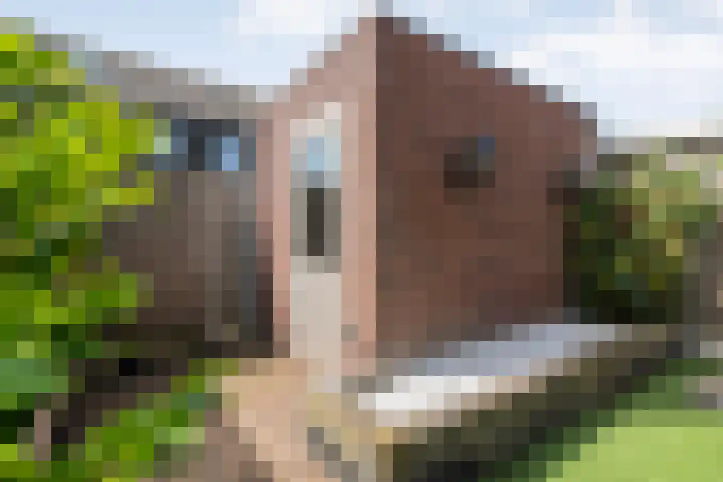 Noordsingel 29 Wezep thumbnail 48