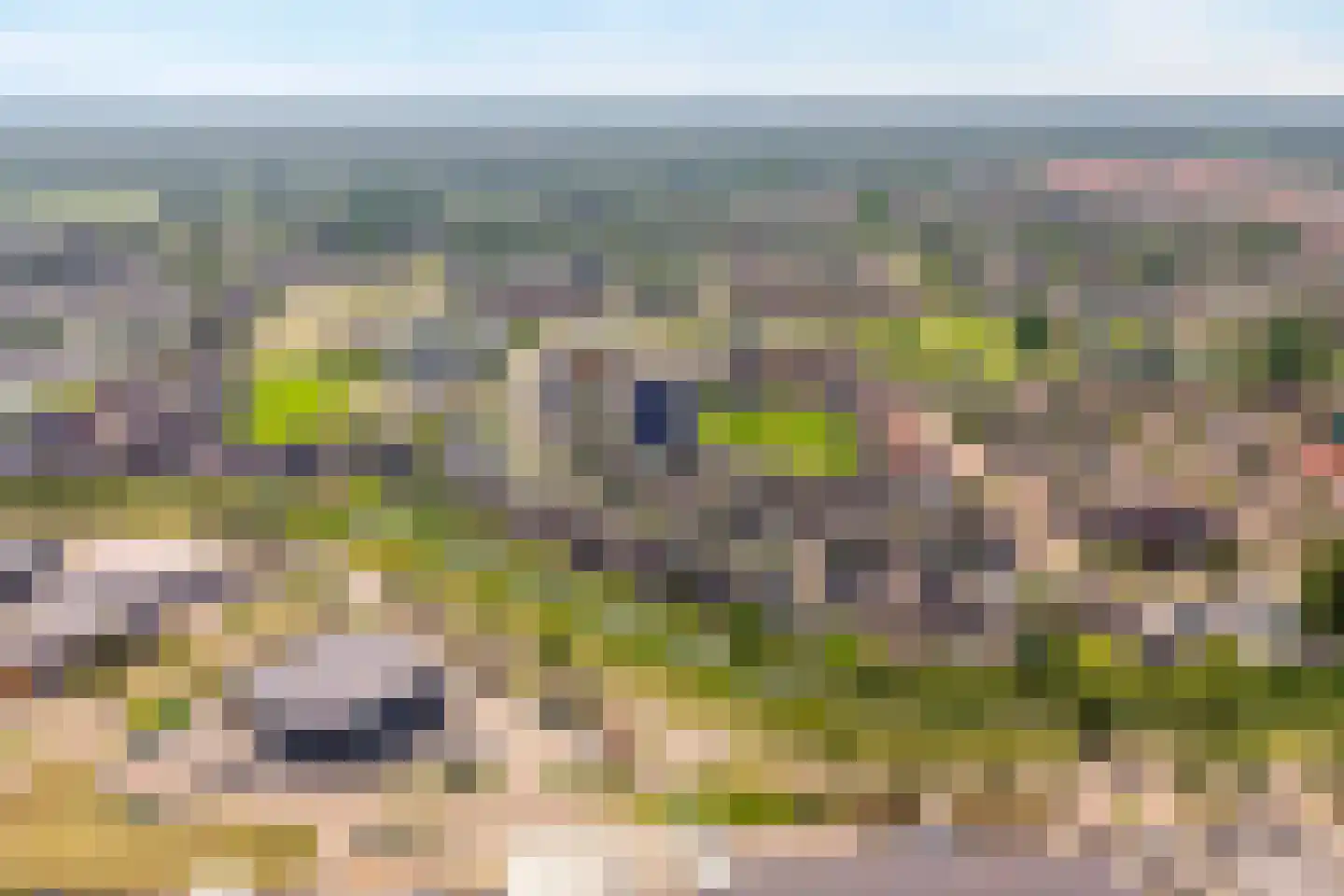 Noordsingel 29 Wezep thumbnail 50