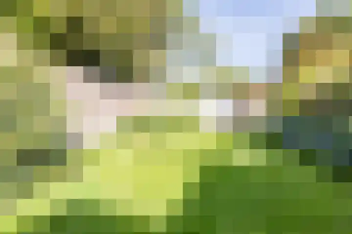 Noordsingel 3 Bergen op Zoom thumbnail 52