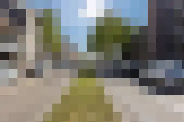 Noordsingel 3 Bergen op Zoom thumbnail 57