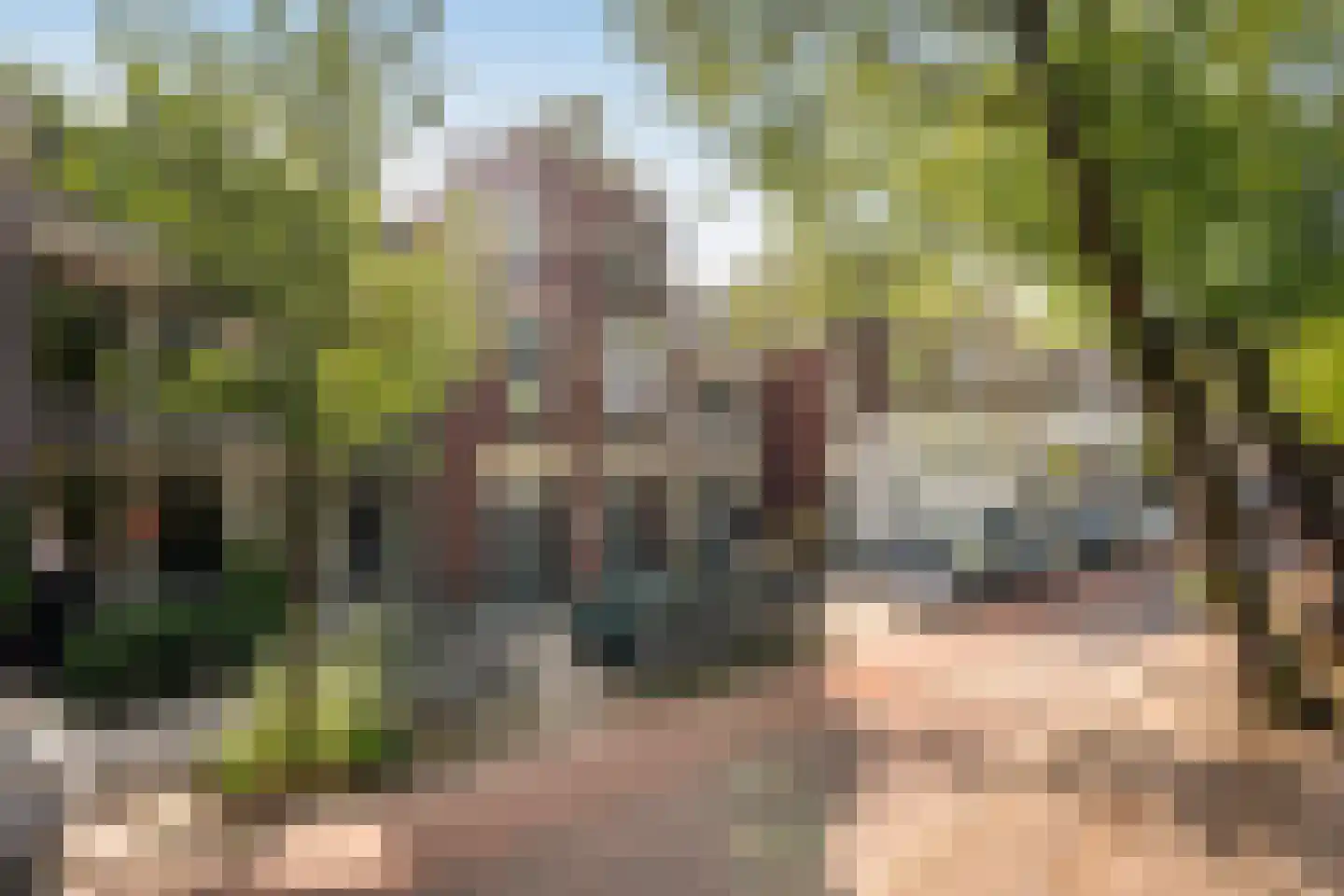 Noordsingel 30 B Rotterdam thumbnail 5