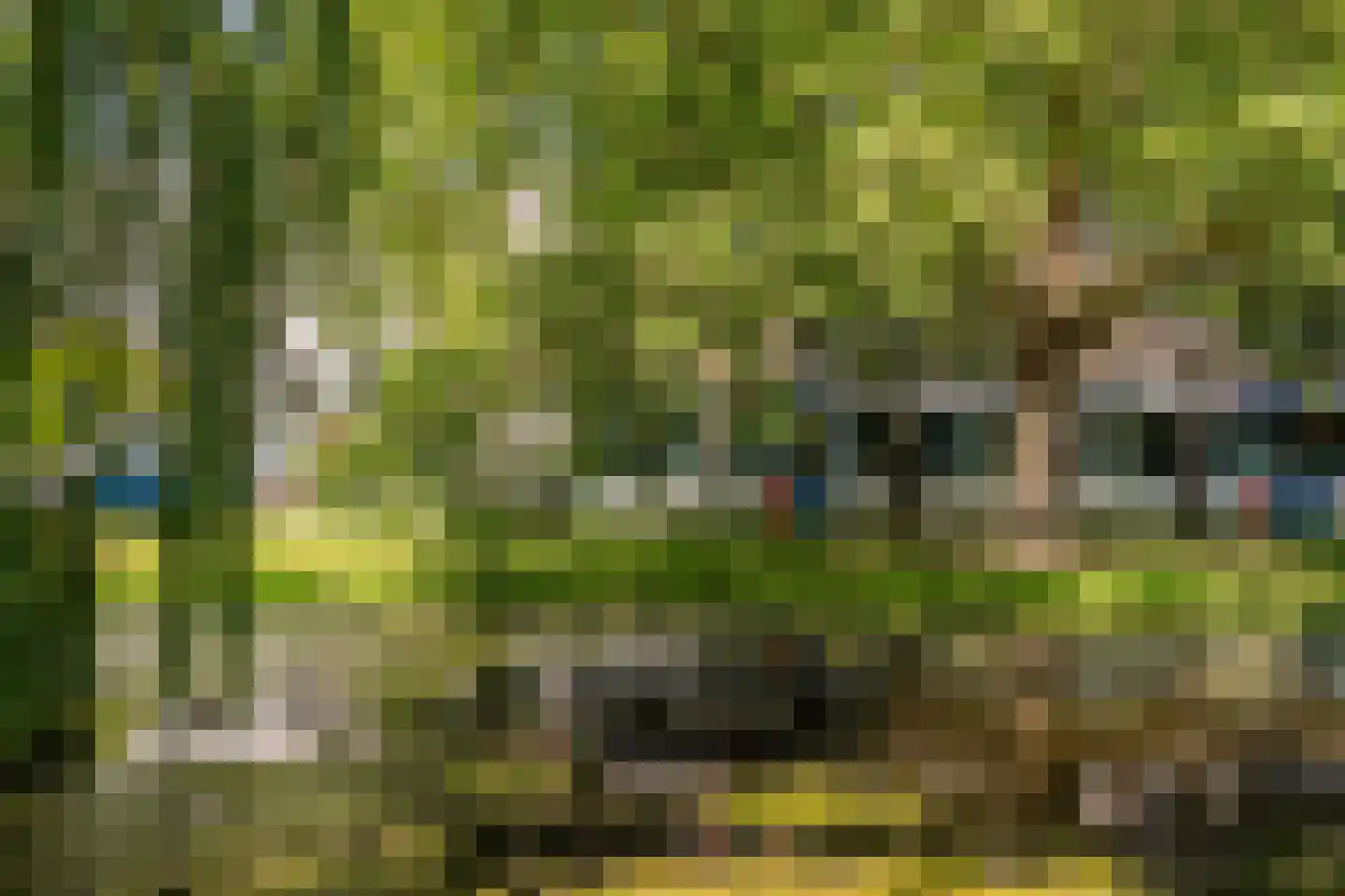 Noordsingel 30 C Rotterdam thumbnail 31