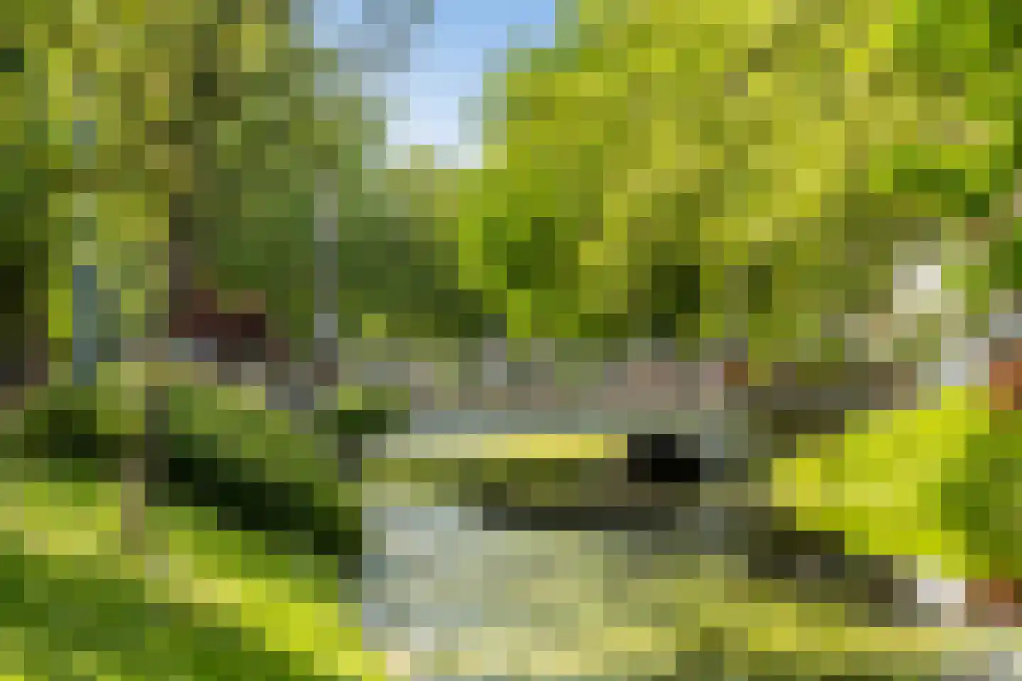 Noordsingel 30 C Rotterdam thumbnail 32