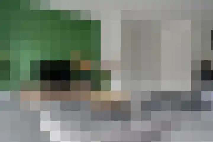 Noordsingel 33 A Wezep thumbnail 11